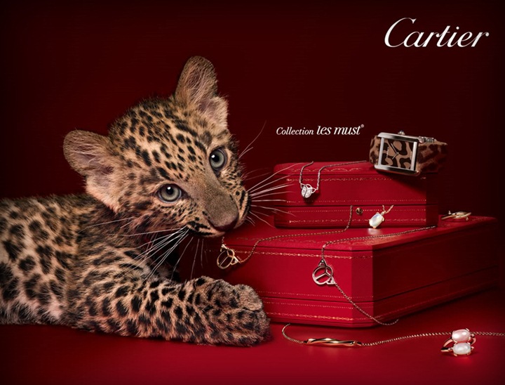Print ad - Cartier -Toamna/Iarna 2011 - 2012