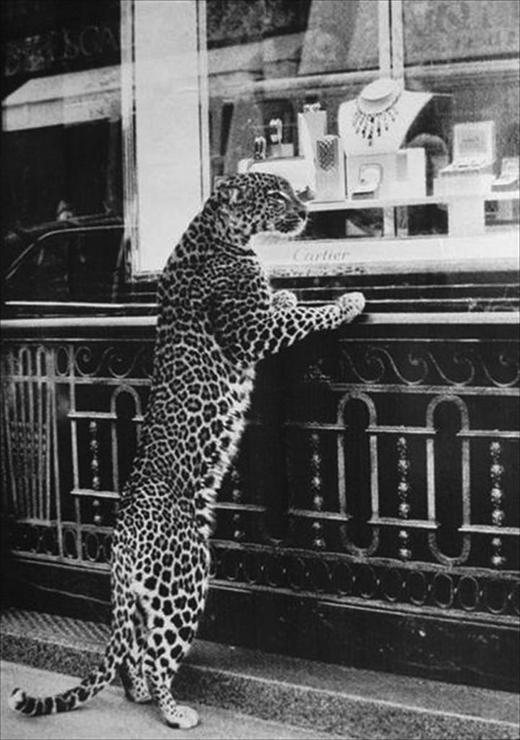 Cartier - campanie circa 1950