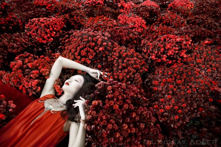 Red color - Trends