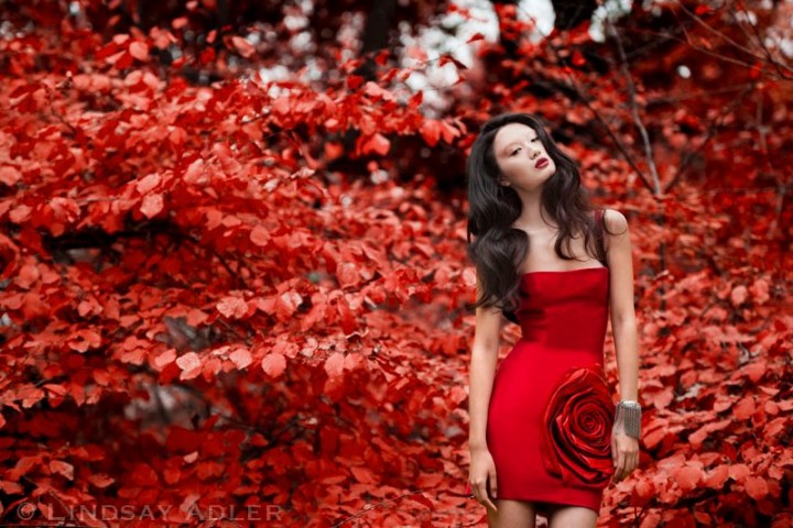 Red color - Trends