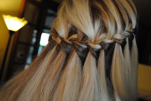 Braided Hairstyle 45