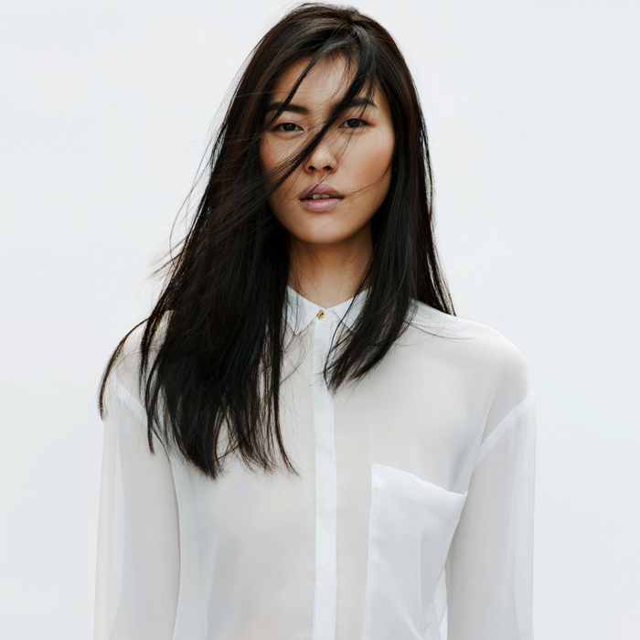 Zara - Lookbook 2012 - Silk Shirt