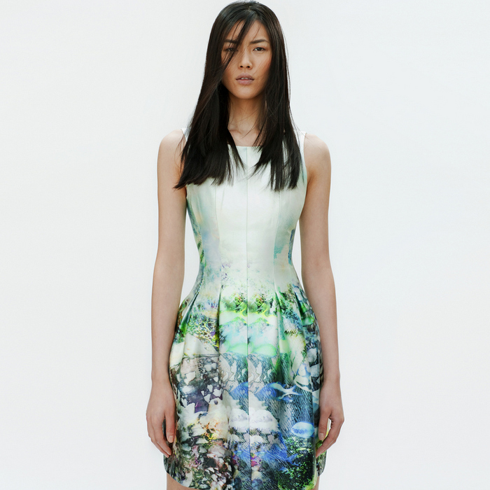 Zara - Lookbook 2012 - Digital Print Dress