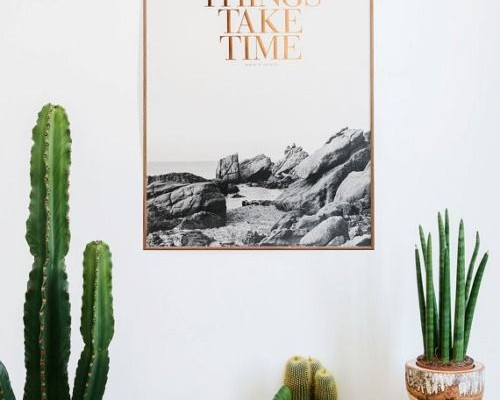 apartment-plants-design-ideas1
