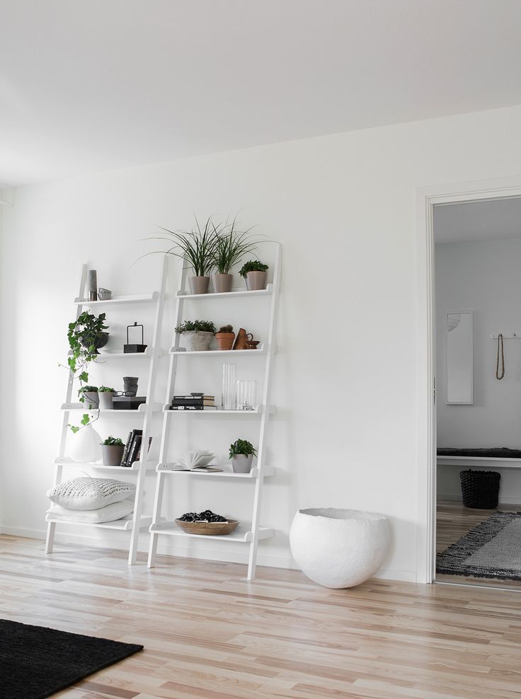 apartment-plants-design-ideas1