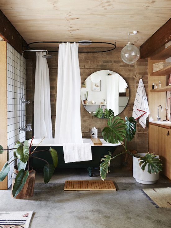 apartment-plants-design-ideas1