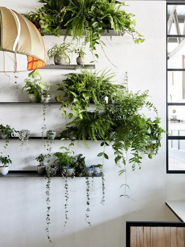 apartment-plants-design-ideas1