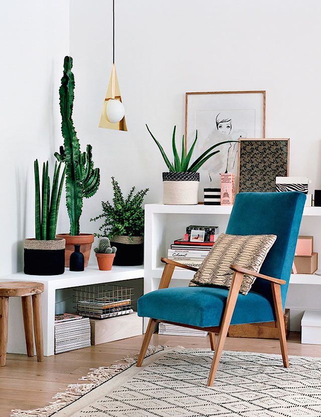 apartment-plants-design-ideas1