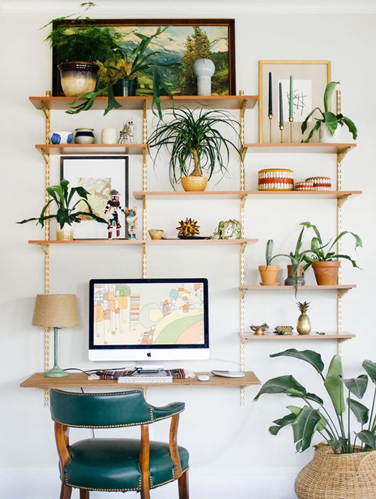 apartment-plants-design-ideas1