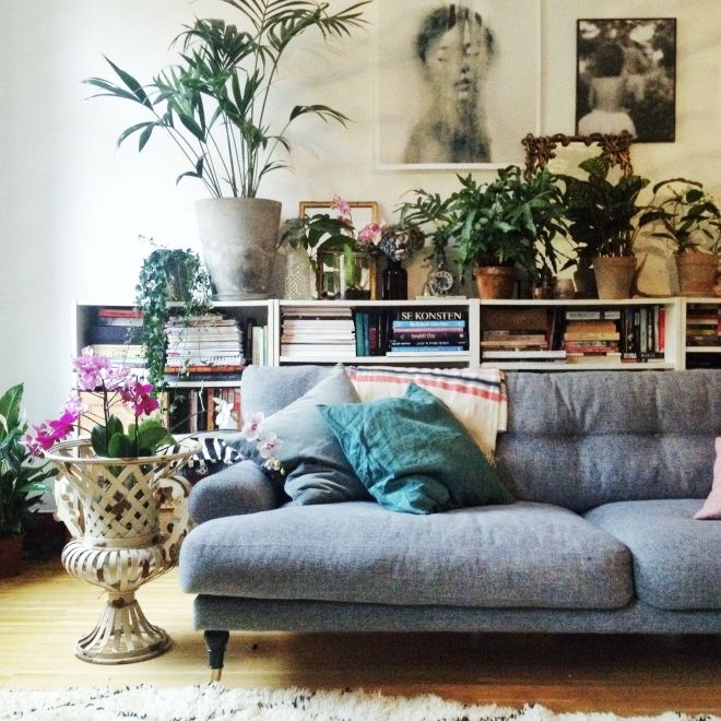 apartment-plants-design-ideas1