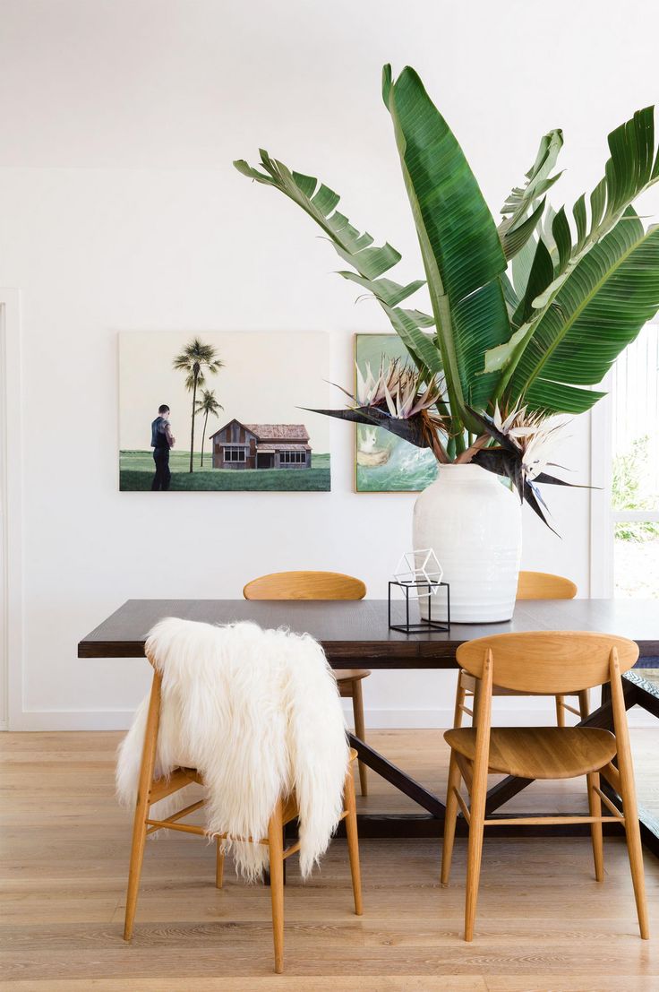 apartment-plants-design-ideas1